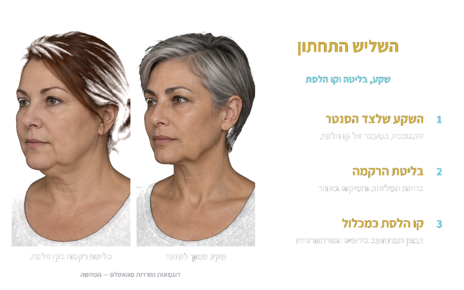 שקע סמוך לסנטר ובליטת רקמה בקו הלסת — דוגמאות נפרדות מהאטלס.