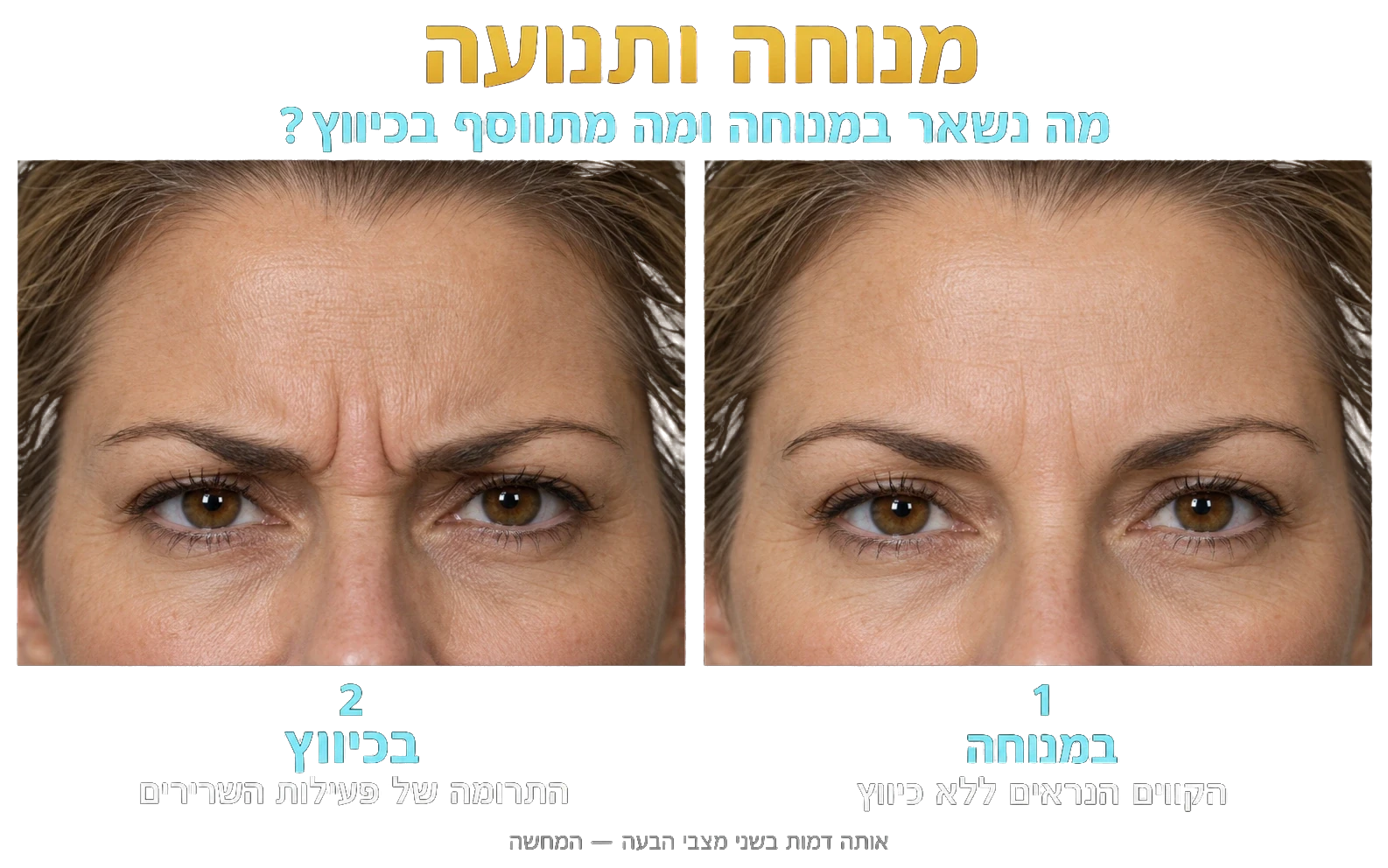 מימין: במנוחה. משמאל: בכיווץ. אותה דמות בשני מצבי הבעה — המחשה.