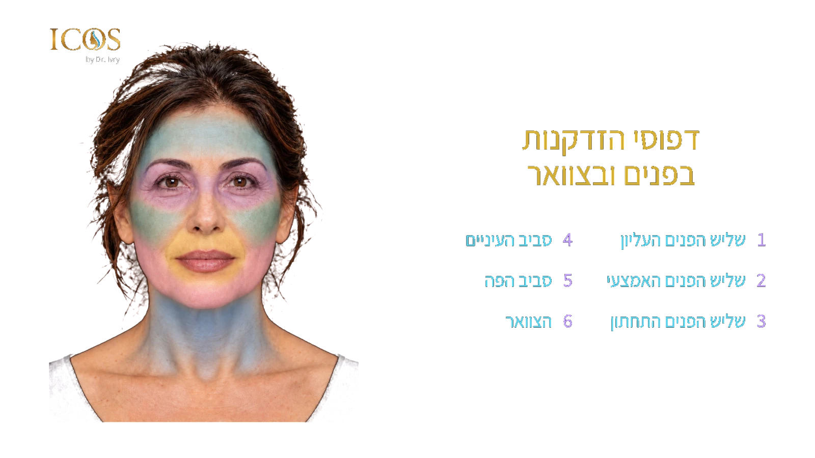 דפוסי הזדקנות בפנים ובצוואר — שש היחידות בצבעי המאסטר
