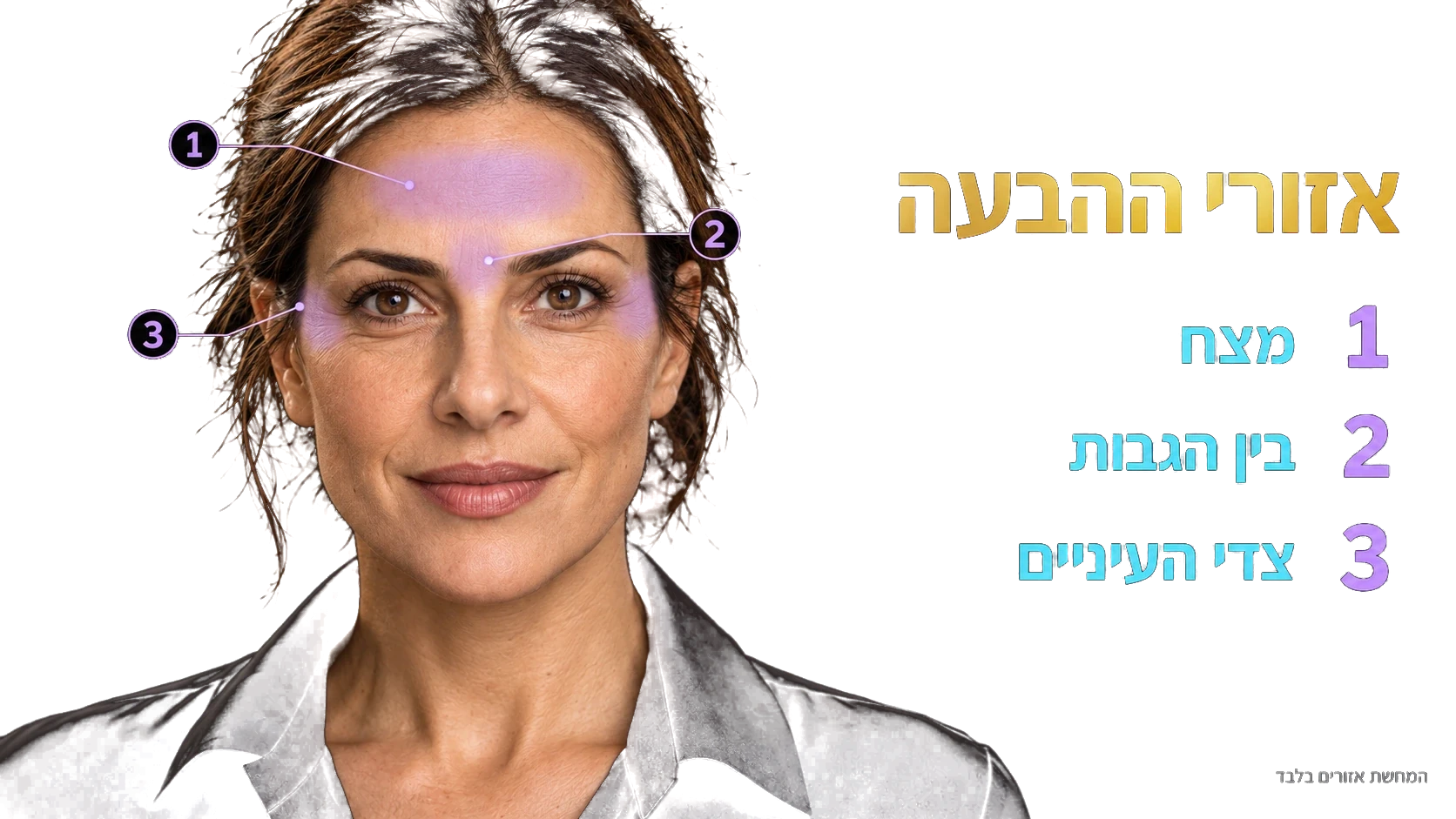 שלושת אזורי ההבעה: מצח, בין הגבות וצדי העיניים. סימון אזורים בלבד.