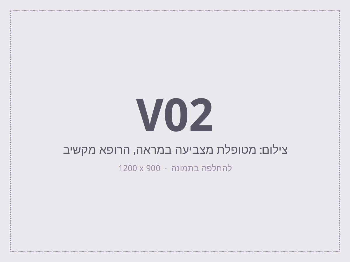 שיחה על מטרות הטיפול והאזורים שמפריעים למטופלת.